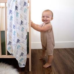 /a/a/aalc-asws30005-aden-anais-silky-large-swaddles-pack-of-3-expedition-16902881576.jpg