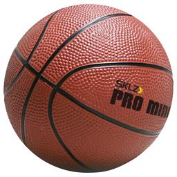 /a/j/aj-hp04-ball-sklz-pro-mini-hoop-ball-5-1567079954.jpg