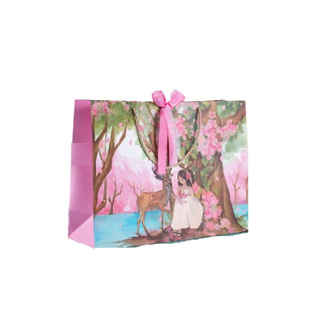 Y-PaperCo. - Gift Bag - Large - 2pcs - Romantic Girl's Story