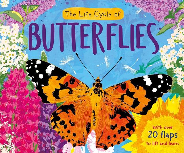 The Life Cycle Of Butterflies