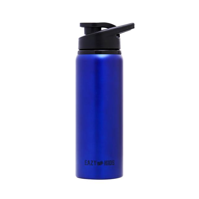 Eazy Kids - Stainless Steel Sports Water Bottle - 700ml - Blue