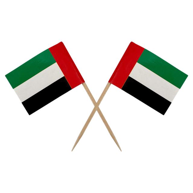 Party Magic - UAE Flag Cocktail Sticks - 3.5x6.5cm - 100pcs