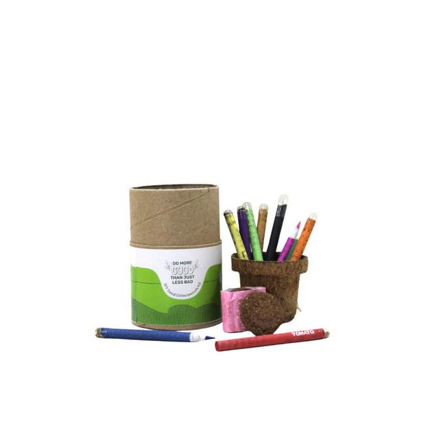 Buy Responsibly - Plantable Seed Pencil Gift Box