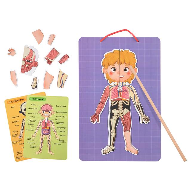 TookyToys - Body Magnetic Chart - 78pcs