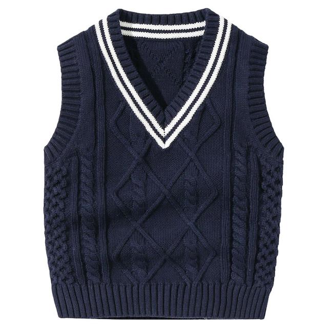 Sugar Rush - Solid Regular V-Neck Sleeveless Sweater - Navy