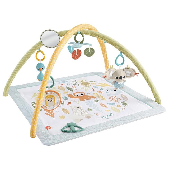 Fisher Price - Simply Senses Newborn Gym