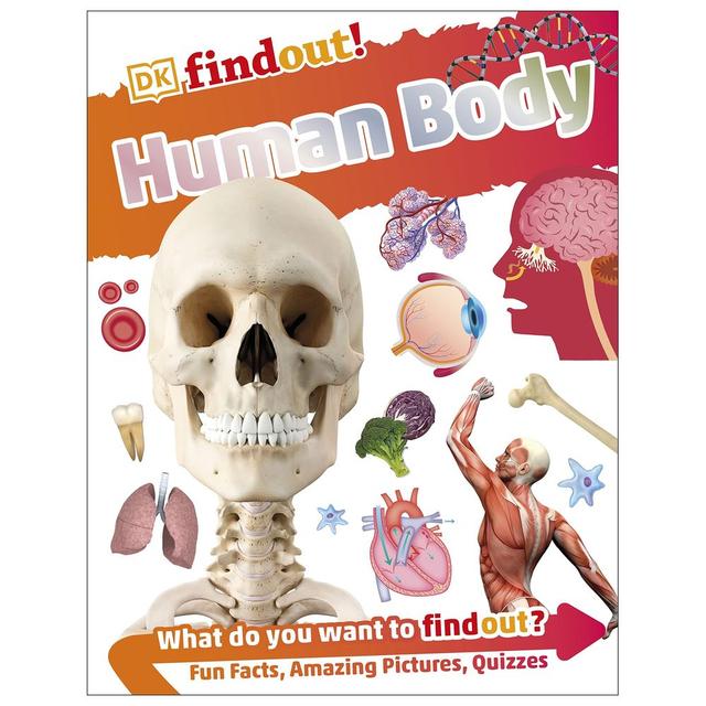 Human Body