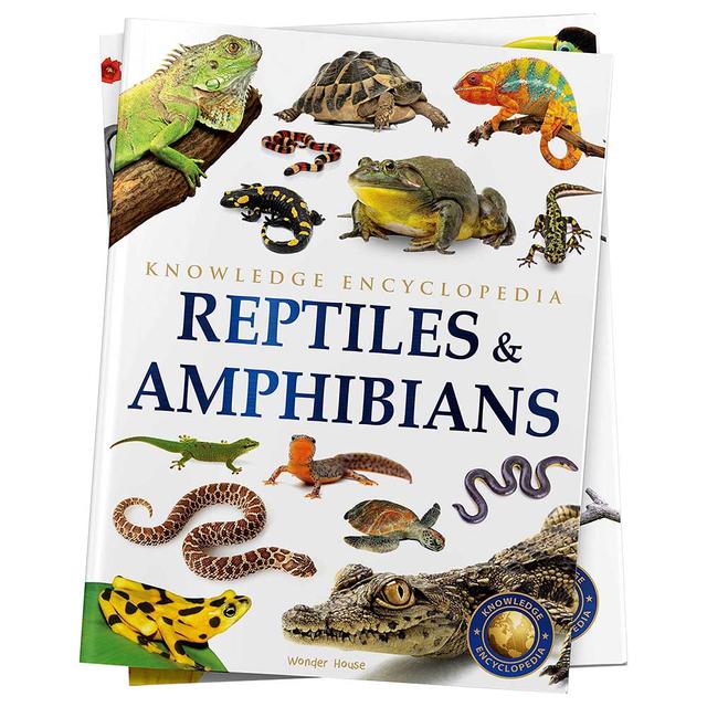 Animals Reptiles And Amphibians Knowledge Encyclopedia