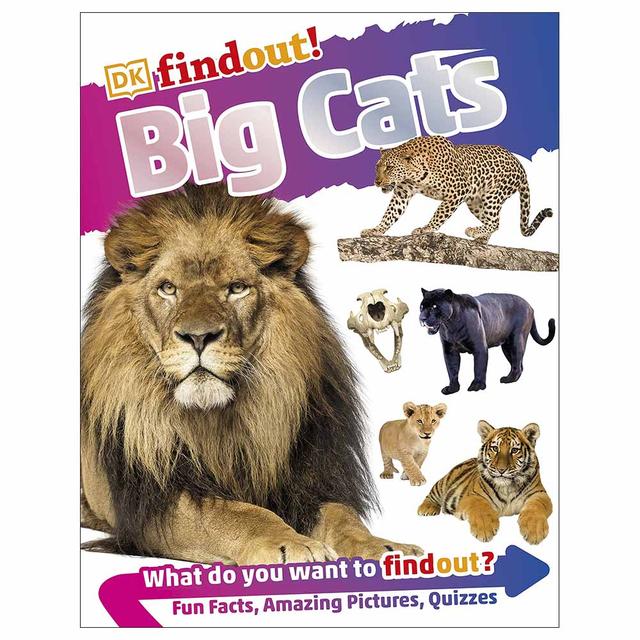 DK Findout!: Big Cats