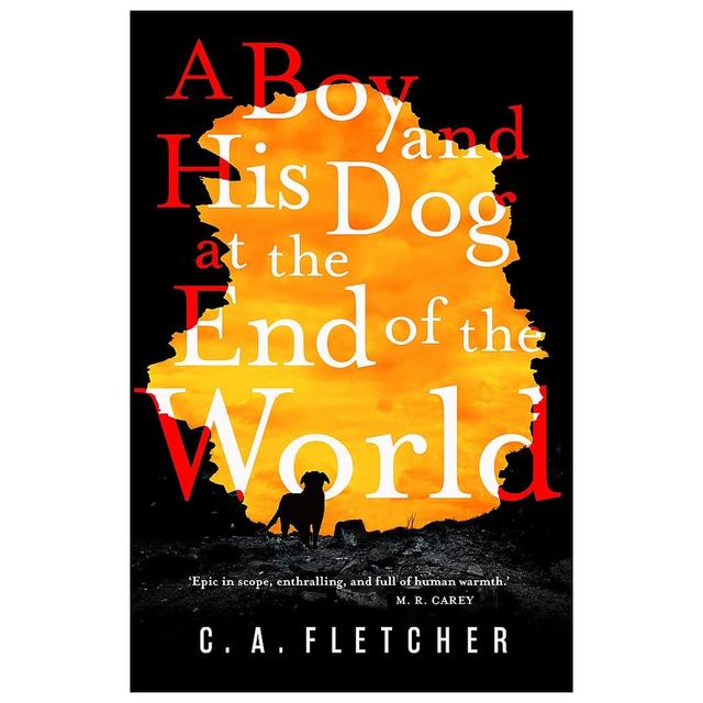 A Boy And His Dog At The End Of The World