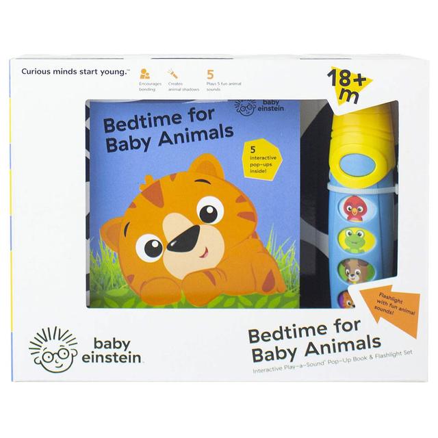 Baby Einstein Little Flashlight Box