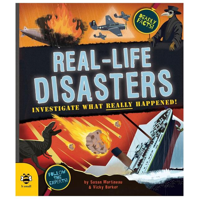 Real-Life Disasters: Investigate What Really Happened!