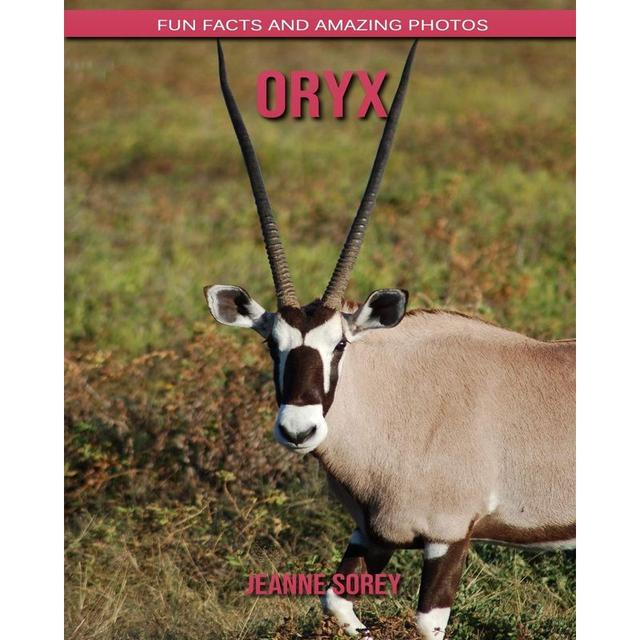 Oryx: Fun Facts And Amazing Photos