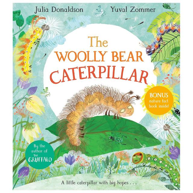 The Woolly Bear Caterpillar: Hardback