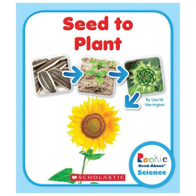 Seed To Plant