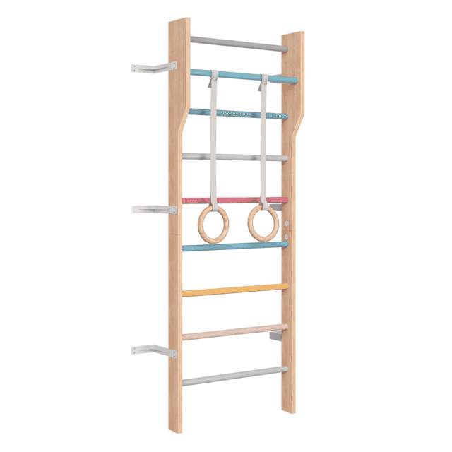 Ezzro - Modern Scandinavian Ladder Gym