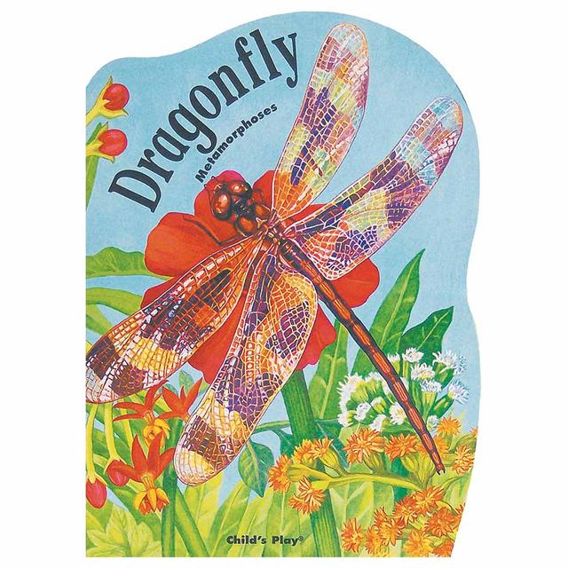 Metamorphoses -Dragonfly