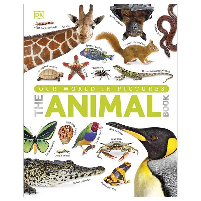 The Animal Book A Visual Encylopedia On Life On Earth