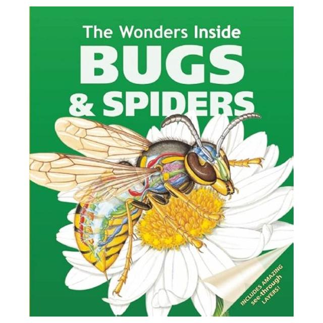 The Wonders Inside Bugs & Spiders