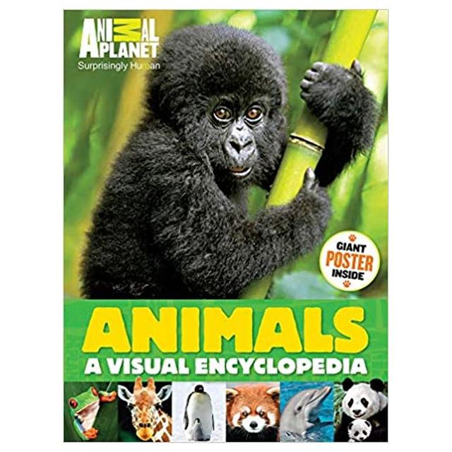 Animals: A Visual Encyclopedia