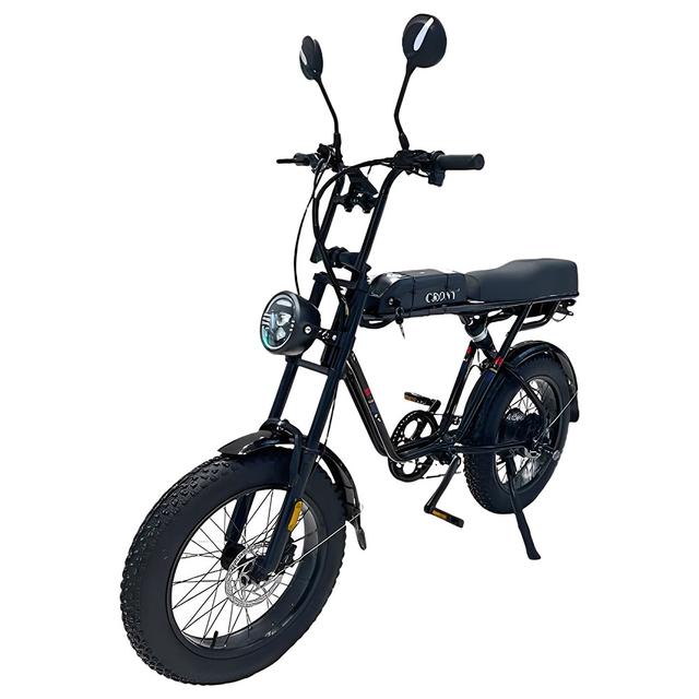 Myts - Speed Pro Fat Tire 1000W Snowmobile Electric Bicycle 48V