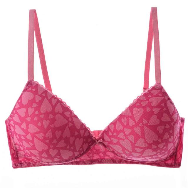 Lacy Dreams - Casual Lace Bra - Pink Hearts