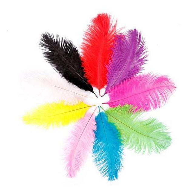 Mindset - Colorful Feather 20pcs