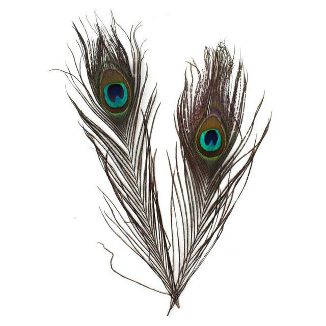 Mindset - Peacock Tail Feather 2pcs 25cm