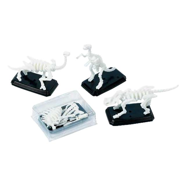 3-D Fossil Puzzle Favors 12pcs - White