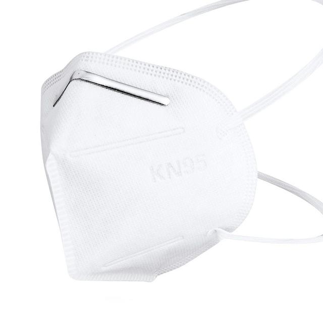 Model 9502+ Professional Protective Mask - 2pcs