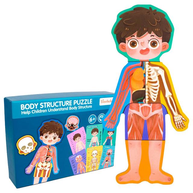 Factory Price - Treehole Body Structure Puzzle Toy Set - Boy