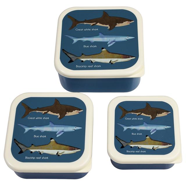 Rex London - Snack Boxes - Sharks - 3pcs