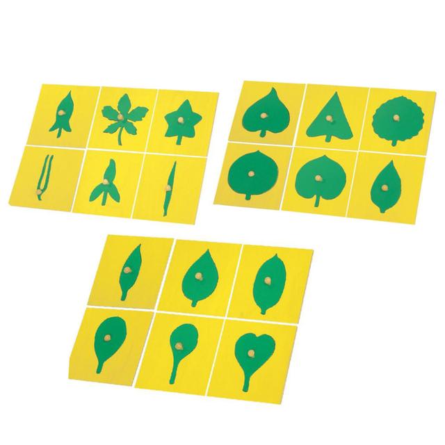 Raymond - Leaf Shapes Insets