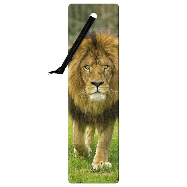 If - 3D Bookmark - African Lion