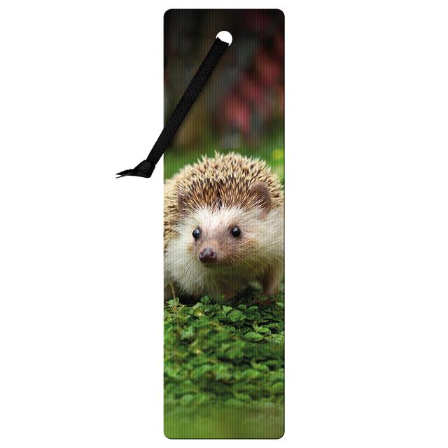 If - 3D Bookmark - Hedgehog