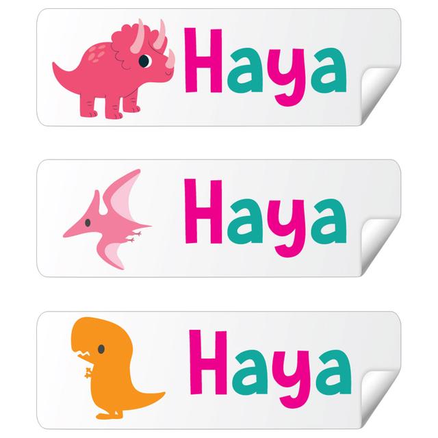 Twinkle Hands - Personalized Waterproof Labels - Dinosaurs For Girls