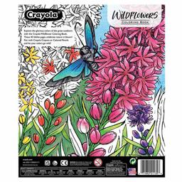 /p/s/ps-cy04-1135-crayola-40-page-colouring-book-wildflowers-16923420610.jpg