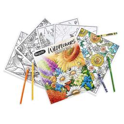 /p/s/ps-cy04-1135-crayola-40-page-colouring-book-wildflowers-16923420611.jpg