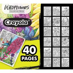 /p/s/ps-cy04-1135-crayola-40-page-colouring-book-wildflowers-16923420612.jpg