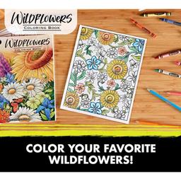 /p/s/ps-cy04-1135-crayola-40-page-colouring-book-wildflowers-16923420614.jpg