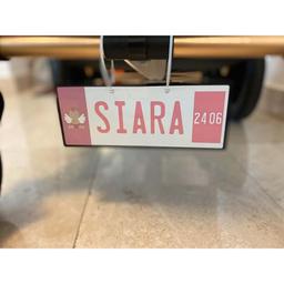 /s/t/stroller-plate8.jpg